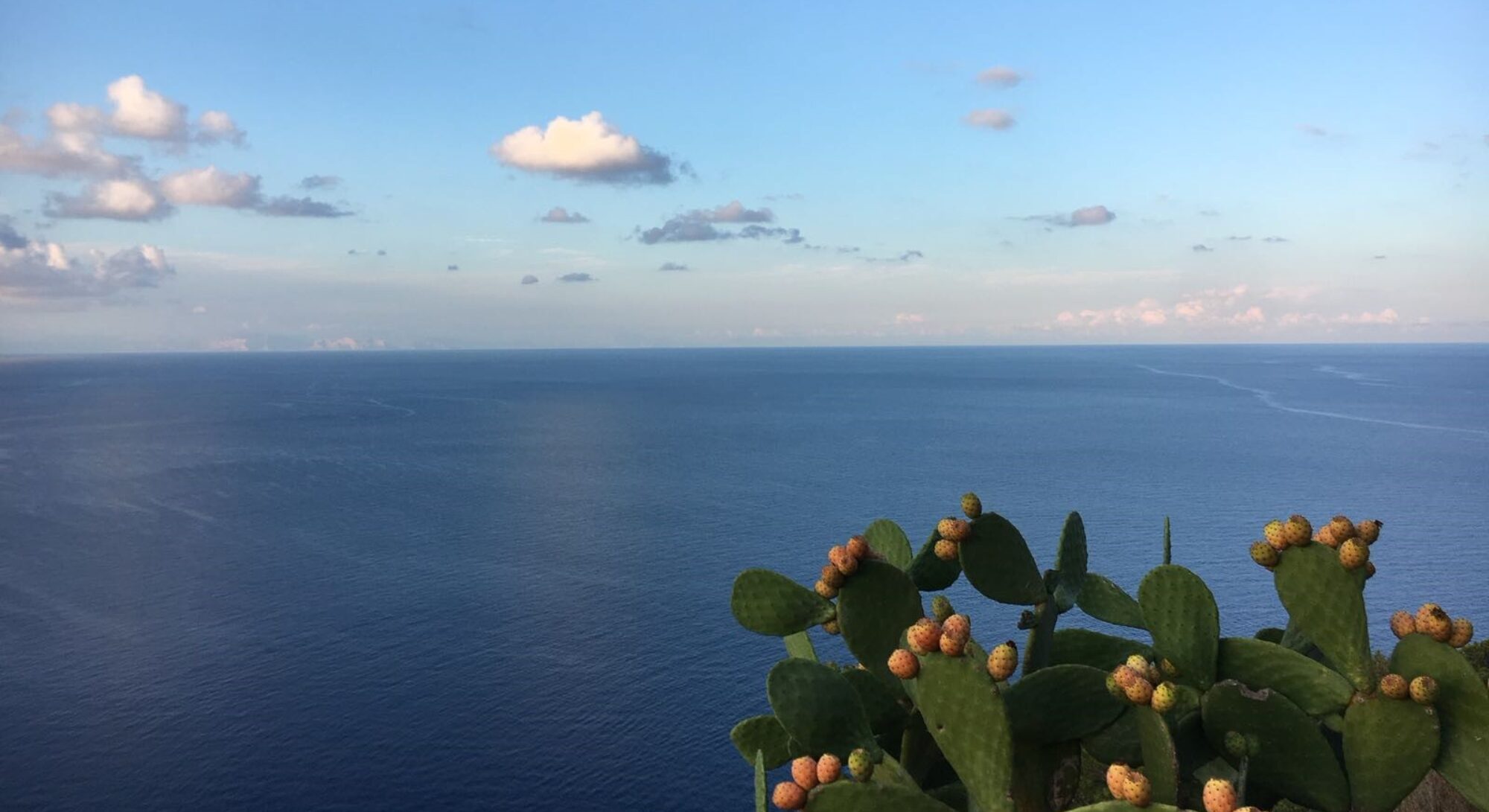 Il Giardino di Giancarlo